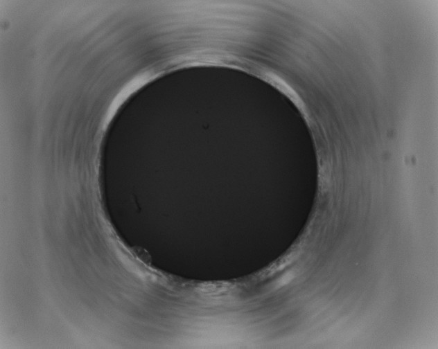 X0000070861146200607071851