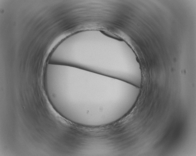 X0000070861147200607071851