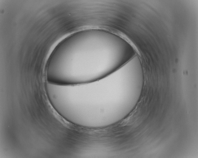 X0000070861148200607071851