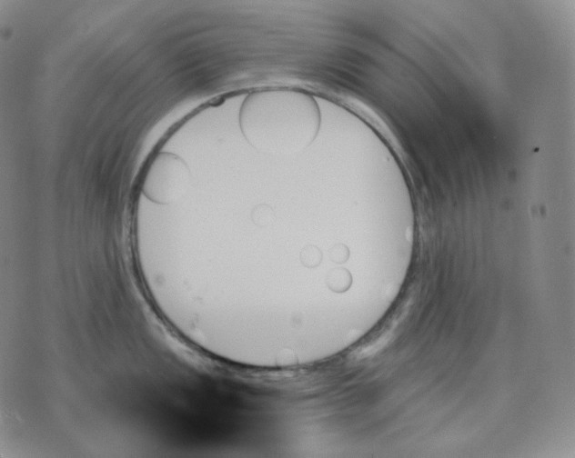 X0000070861149200607071851