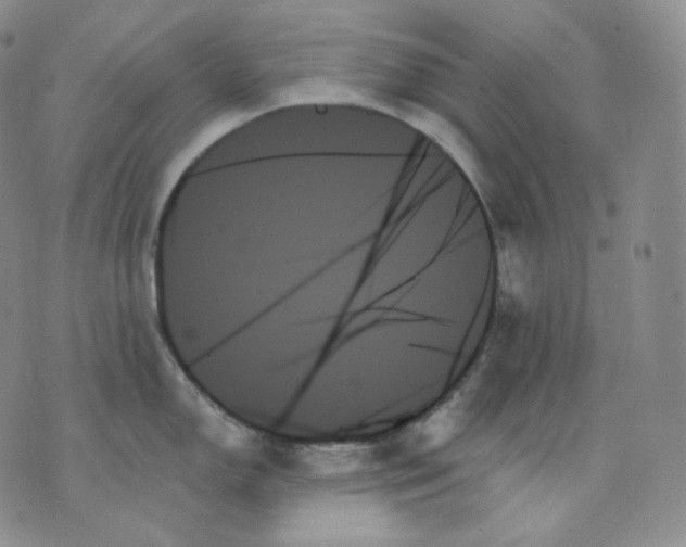 X0000070861150200607071851