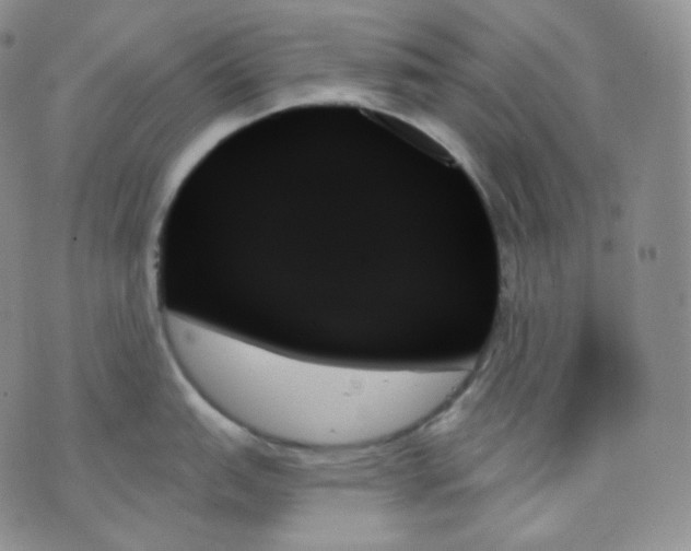 X0000070861151200607071851