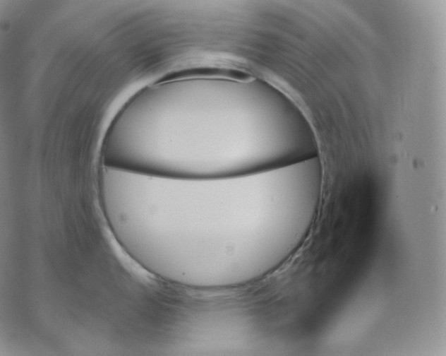 X0000070861152200607071851