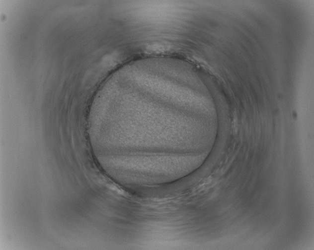 X0000070861153200607071850