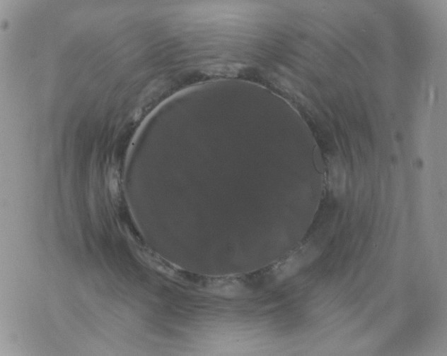 X0000070861154200607071850