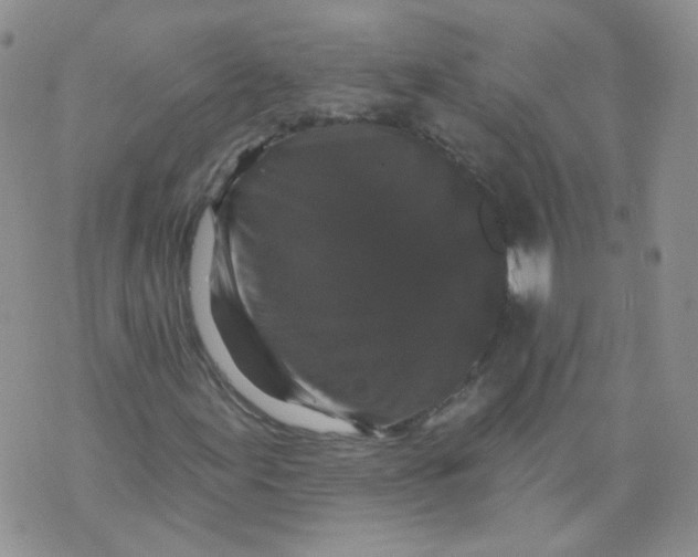 X0000070861155200607071850