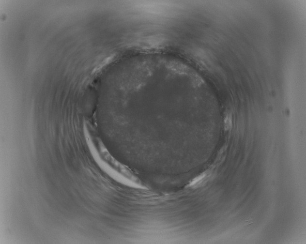 X0000070861156200607071850