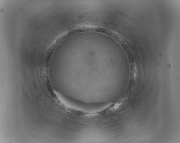 X0000070861157200607071850