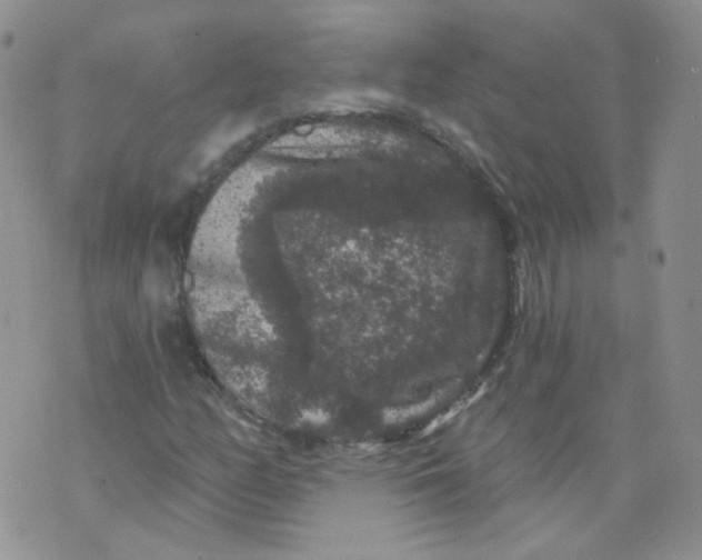 X0000070861158200607071850