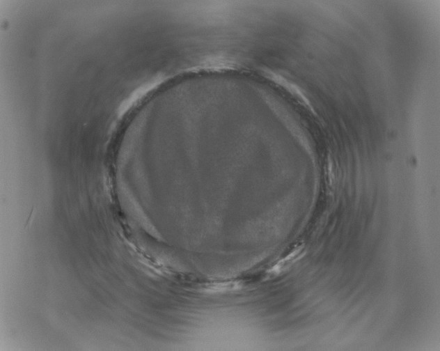 X0000070861160200607071850