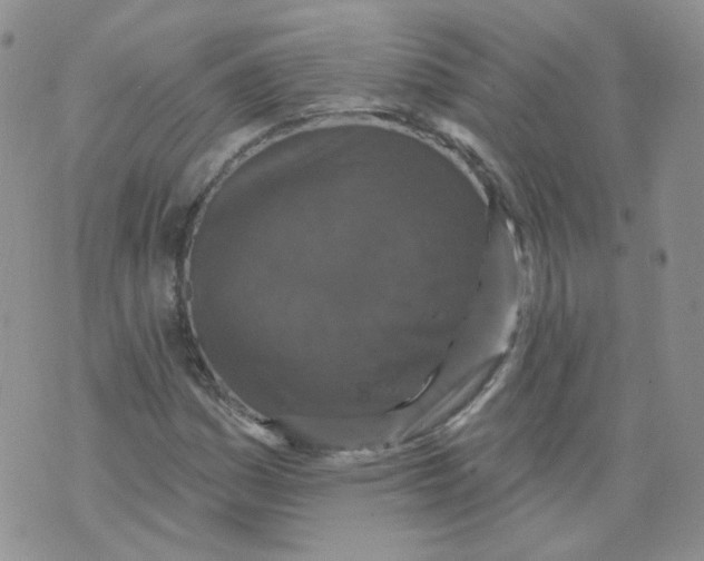 X0000070861161200607071850