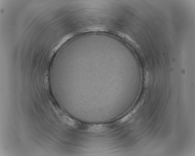 X0000070861162200607071850