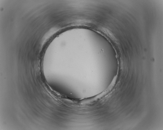 X0000070861164200607071850