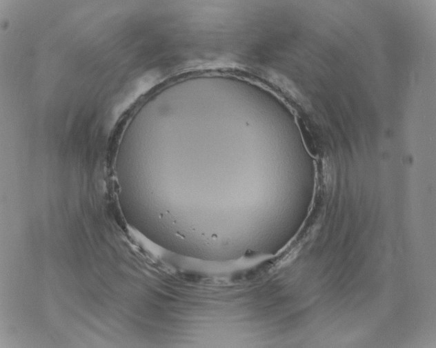 X0000070861165200607071850