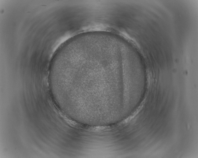 X0000070861166200607071850