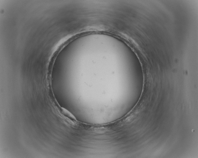 X0000070861168200607071850