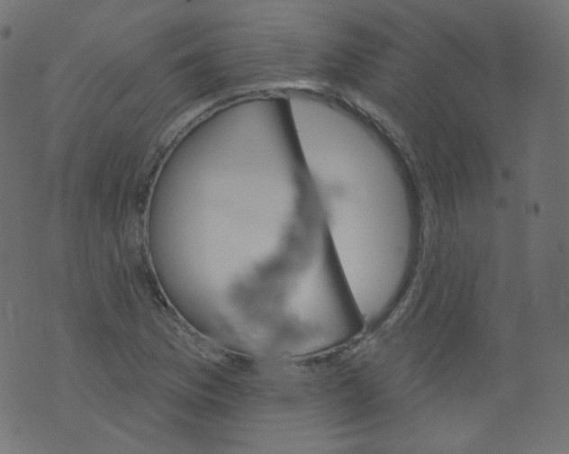 X0000070861169200607071850