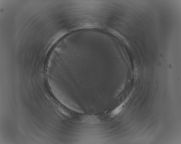 X0000070861170200607071850