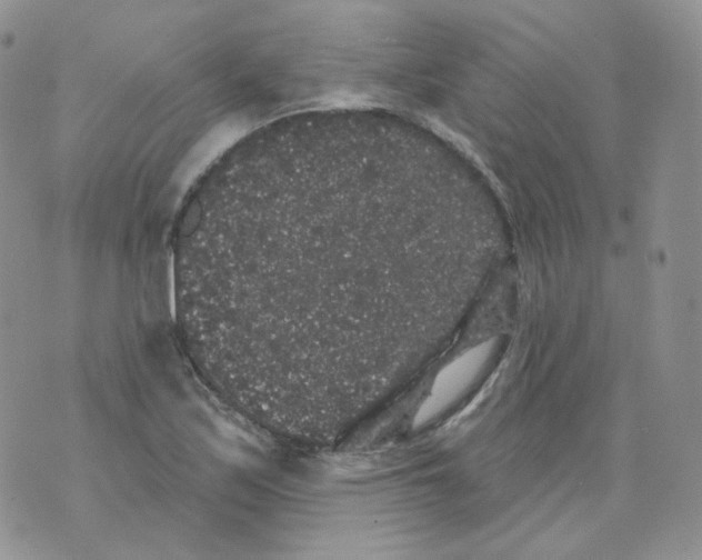 X0000070861171200607071850