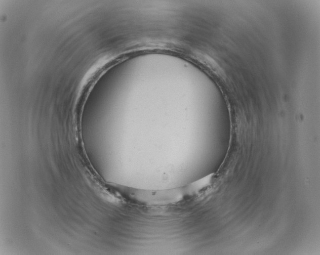 X0000070861172200607071850