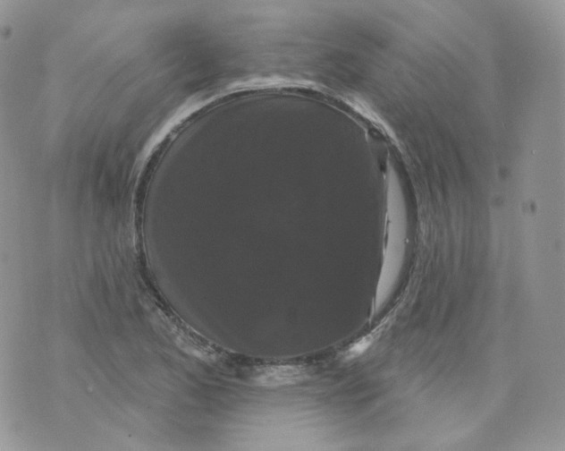 X0000070861173200607071850