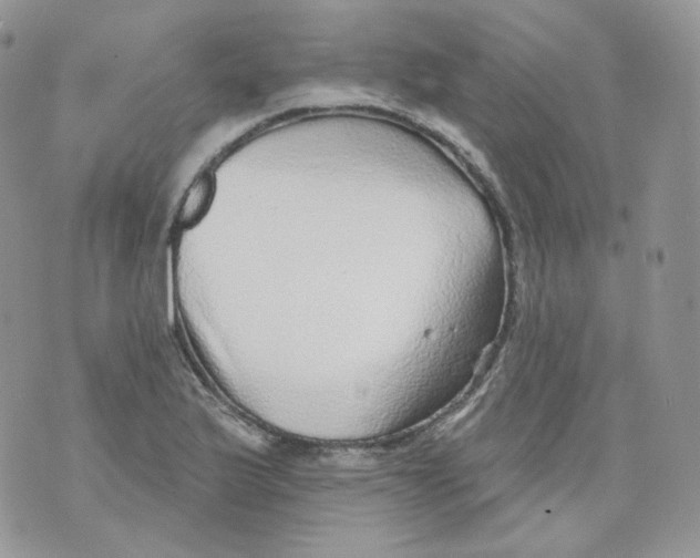 X0000070861175200607071850