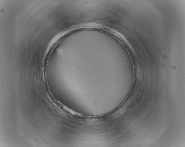 X0000070861176200607071850