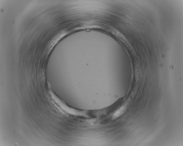 X0000070861177200607071850