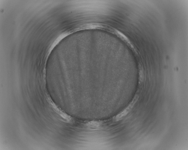 X0000070861178200607071850