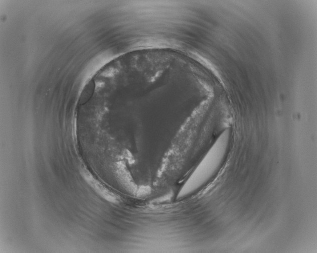 X0000070861179200607071850