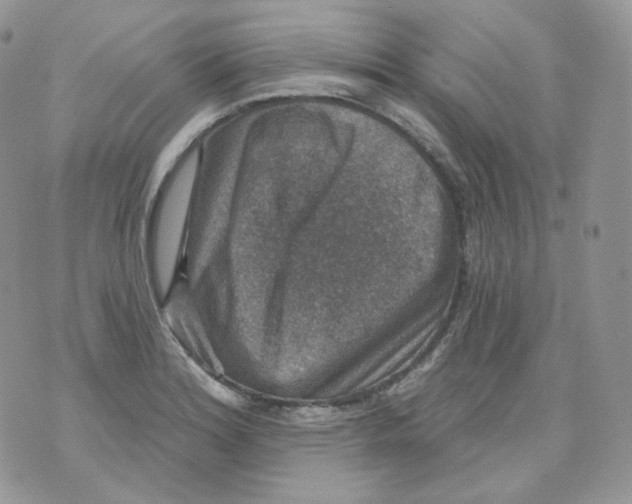 X0000070861180200607071850