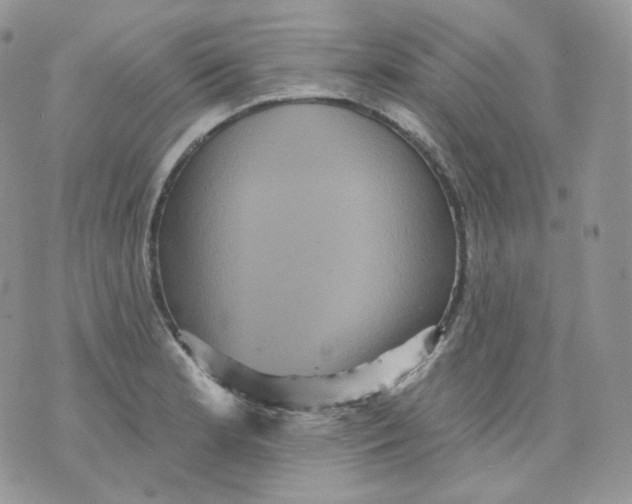 X0000070861181200607071850