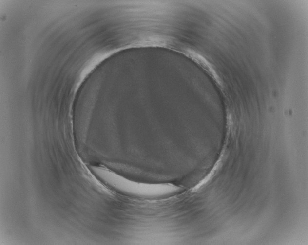 X0000070861184200607071850