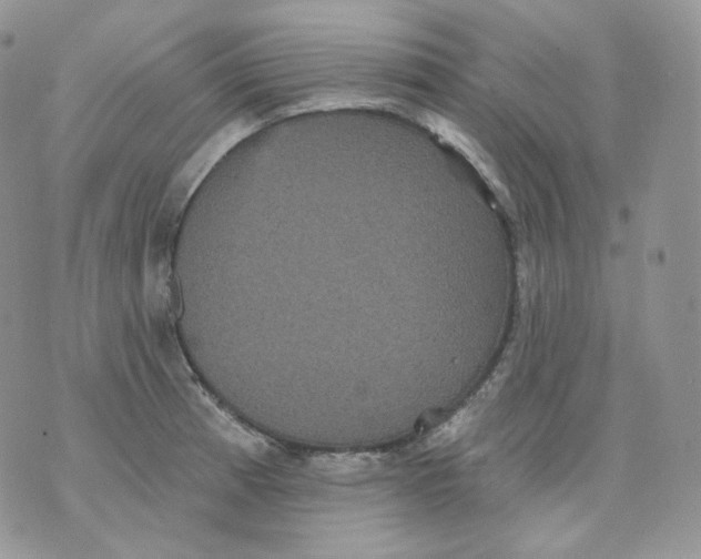 X0000070861185200607071850