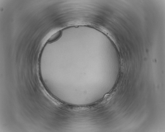 X0000070861187200607071850