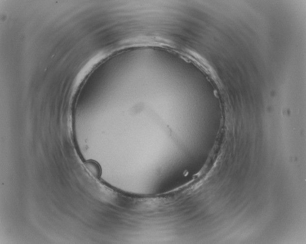 X0000070861188200607071850