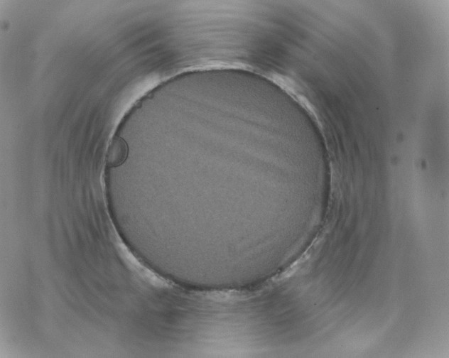 X0000070861189200607071850