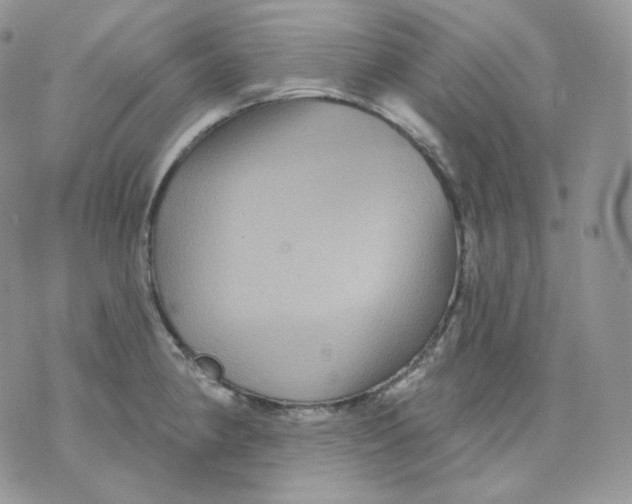 X0000070861190200607071850