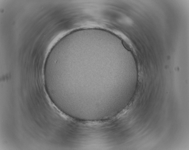 X0000070861191200607071850