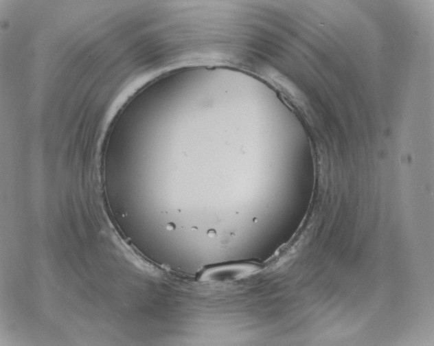 X0000070861192200607071850