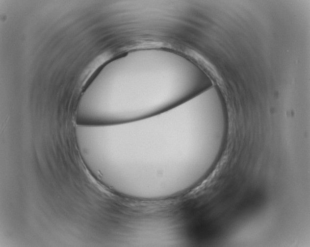 X0000070861193200607071850