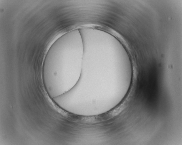 X0000070861194200607071850