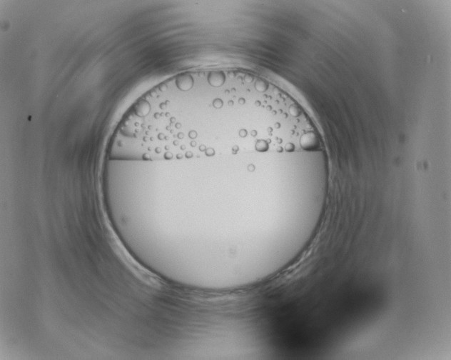 X0000070861195200607071850