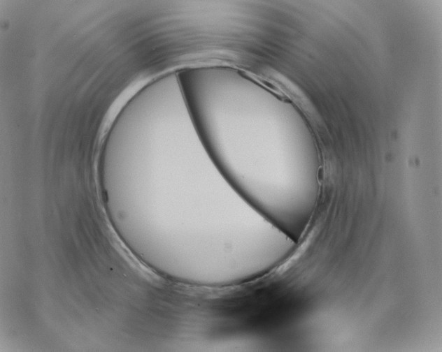 X0000070861196200607071850