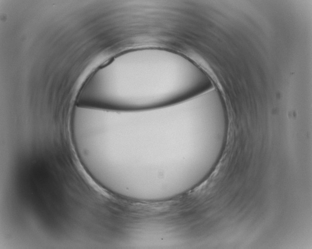 X0000070861197200607071850