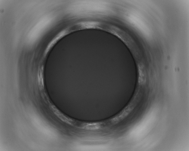 X0000070861198200607071850