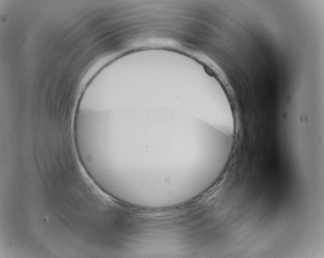 X0000070861199200607071850