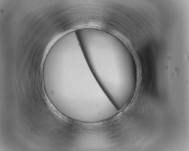 X0000070861200200607071850