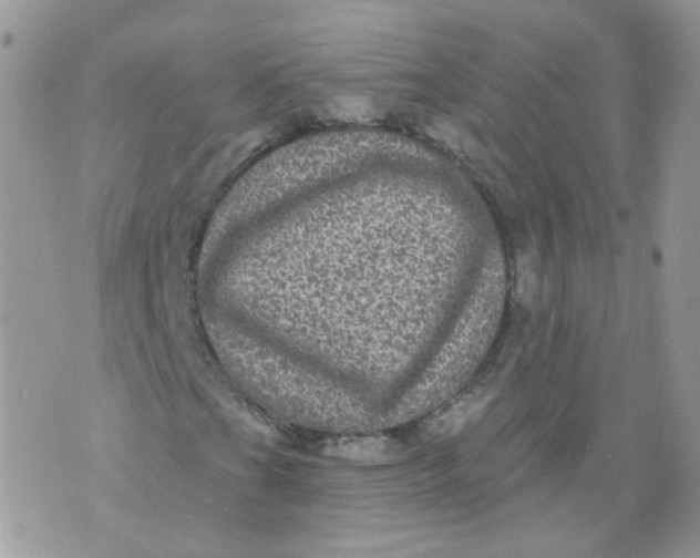 X0000070861201200607071849