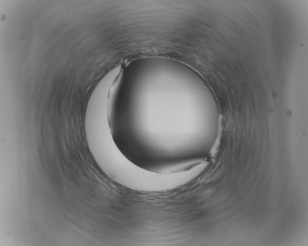 X0000070861202200607071849